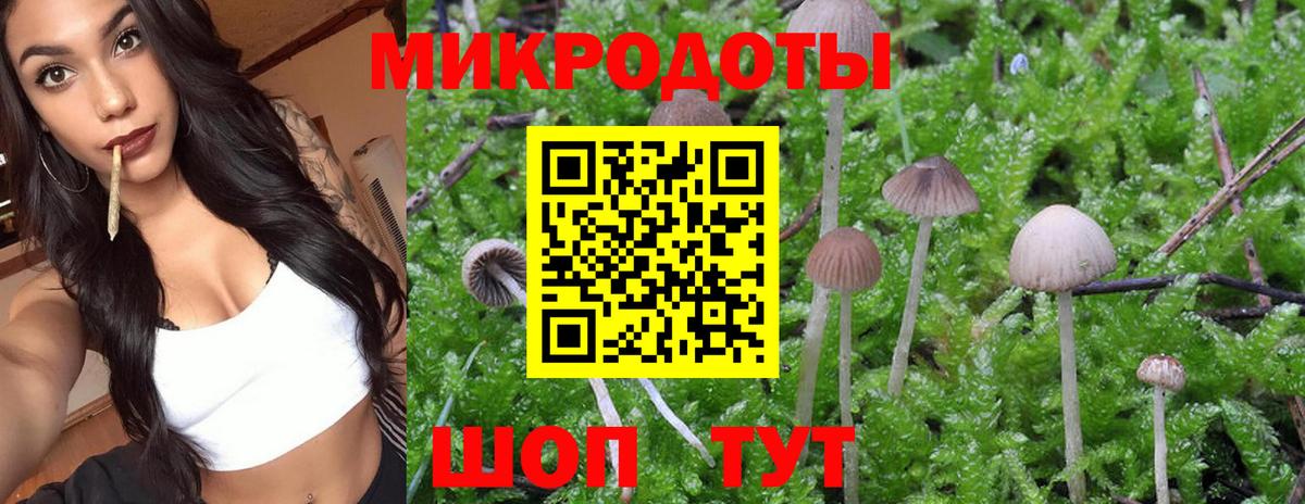 Галлюциногенные грибы прущие грибы  Псилоцибиновые грибы мухоморы  Вход с VPN  Ишимбай 